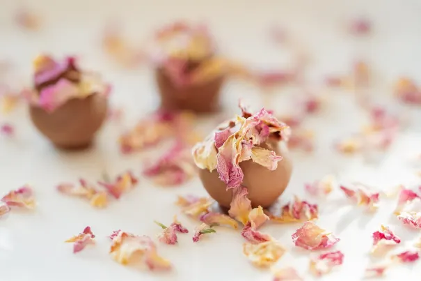 Andromeda Casino Android/iOS App